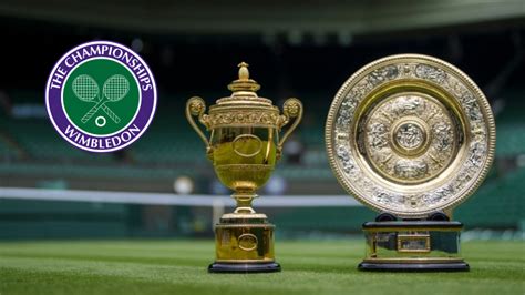 wimbledon betting tips - Wimbledon tennis betting tips: Daily best bets, 